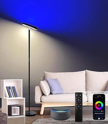 LED Floor Lamp Corner Lamp RGBCW Color Changing Game Standing Lamp w/ remote