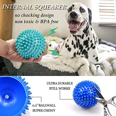 Syhood 16 Pack Squeaky Dog Balls 2.5'' Spiky Dog Ball Toys TPR