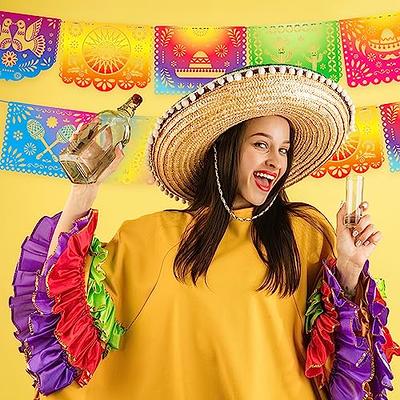 DomeStar 18 Feet Iridescent Mexican Party Banners, Plastic Papel
