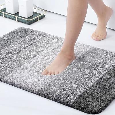 TECHMILLY Super Soft Shaggy Bathroom Rugs, Absorbent Thick Non Slip  Microfiber Bath Rugs, Quick Dry Machine Washable Bath Mat for Bathroom  Floor, Bathtub and Shower 17x24 - Yahoo Shopping