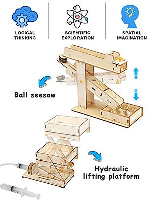 COSKEHAN STEM Assembled Model Plane Kit Building Toy, 201 Pieces STEM  Projects Airplane Building Kits for Kids Age 8-12, STEM Educational Model  Kit