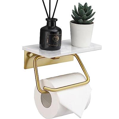 Dracelo Wall Mounted Stainless Steel Toilet Paper Holder Toilet