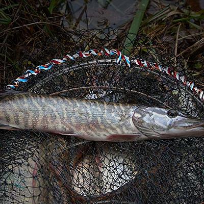 Alvinlite Crab Trap, Portable Fish Trap for Minnow, Crawfish