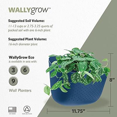 LaLaGreen Wall Mounted Planters for Indoor Plants - 10 Pack, 5 Inch Self  Watering Plastic Pot, Living Hanging Eco Wall Planter System, Trendy Live