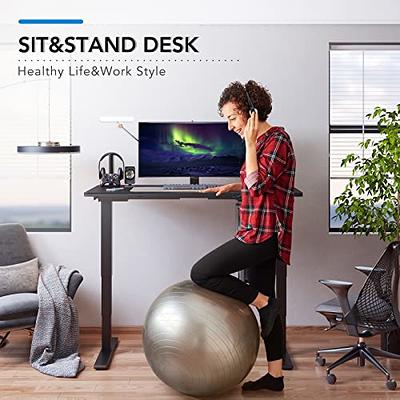 FLEXISPOT Standing Desk Height Adjustable Desk Electric Sit Stand Desk Home  Office Table (55x28 Black+Maple 2 Packages)