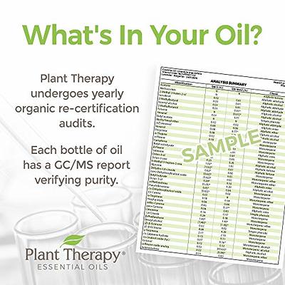 Plant Therapy Oregano Essential Oil 100% Pure Undiluted Natural Aromatherapy Therapeutic Grade 10 ml (1/3 oz)