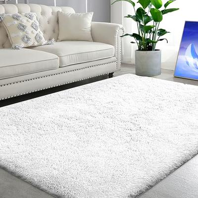 Floralux Small Shag Area Rug,2x3 Feet Non Slip Fluffy Fuzzy Soft Throw Rugs  for Bedroom,White Shaggy Bedside Mini Indoor Floor Room Carpets for Kids  Room Dorm Home Decor - Yahoo Shopping