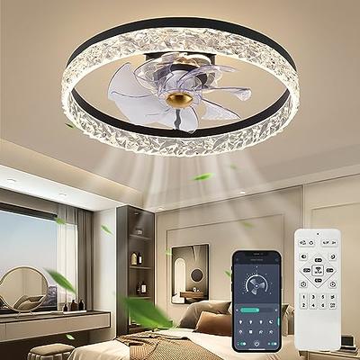 Modern Ceiling Fans with Lights Reversible Fan with Remote 20in Smart  Ceiling Fan Lighting Timing 6 Speeds Low Profile Ceiling Fan with Light  Dimmable