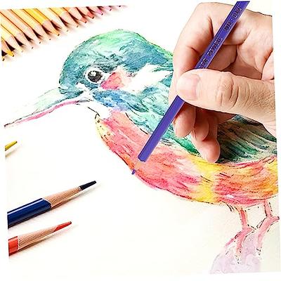 Colored Pencils Oily Colorful Cute Pencils for Professional Art Painting  Drawing School Office Stationery Kit Gift