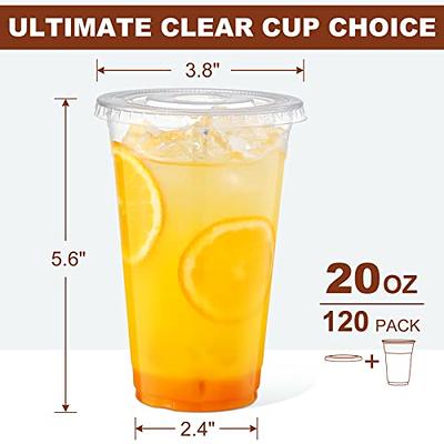 AOZITA 120 Sets - 20 oz Clear Plastic Cups with Lids, Disposable