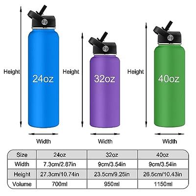 FineDine Insulated Water Bottles with Straw - 25 Oz Stainless Steel Metal  Water Bottle W/ 3 Lids - Reusable for Travel, Camping, Bike, Sports -  Dreamy