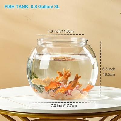 Newpol 0.8 Gallon Plastic Aquarium Betta Fish Tank, Small Fish Tank Starter  Kits, Mini Fish Bowls - Yahoo Shopping