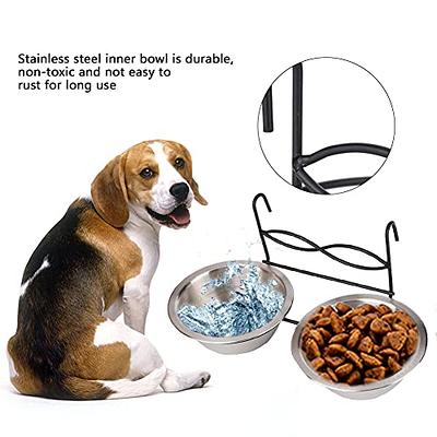 Dog Cat Double Bowls, Pet Food And Water Feeder Bowls With Automatic Water  Bottle For Small Dogs Cats - Temu