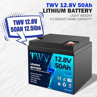 CHINS 12V 50AH LiFePO4 Lithium Battery - Built-in 50A BMS, Perfect