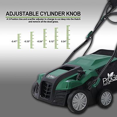 WEN DT1315 15 in. 13 Amp 2-in-1 Electric Dethatcher and Scarifier with Collection Bag