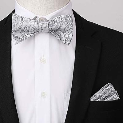HISDERN Silver Bow Ties for Men Gray Paisley Self Tie Bow Tie and