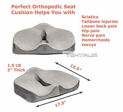 Buy Medical Seat Cushion And Ciatica Coccyx Tailbone Back Pain Lumbar  Support