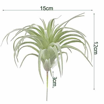  EBUYOM 2 PCS Artificial Succulents Plants Real Touch Lifelike  Succulants Plants Faux Greenery Plants Garden DIY Home Office Decoration  Ornament (Air Plant) : Home & Kitchen