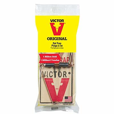 Victor Metal Pedal Indoor and Outdoor Sustainably Sourced FSC Wood Snap Mouse  Trap (4-Count) M156 - The Home Depot