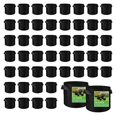 SCENGCLOS 6 Pack 10 Gallon Grow Bags, Sealed Visualization Window Planter  Bags, Breathable Thickened Non-Woven Fabric Plant Pots with Access Flap