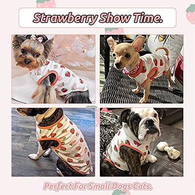 Petcare 3 Pack Small Dog Shirts Girl Puppy Clothes Cat T Shirt Soft Cotton Short Sleeve Tee Shirts for Small Dogs Girls Chihuahua Yorkie Shih Tzu