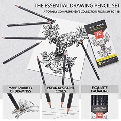 PANDAFLY Professional Drawing Sketching Pencil Set - 12 Pieces Graphite  Pencils(14B - 2H), Ideal for Drawing Art, Sketching, Shading, Artist Pencils  for Beginners & Pro Artists 12 Pack - Black
