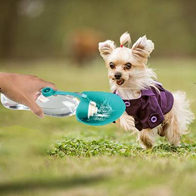 Cool Pup Collapsible 20 oz Water Bottle