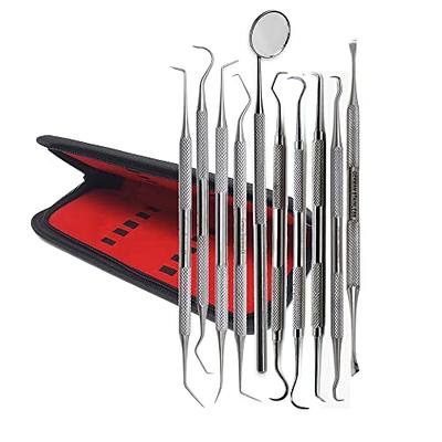 Dental Tools 10-Pack Oral Care Tools Stainless Steel Plaque Remover for  Teeth Stainless Steel Kit with a Case