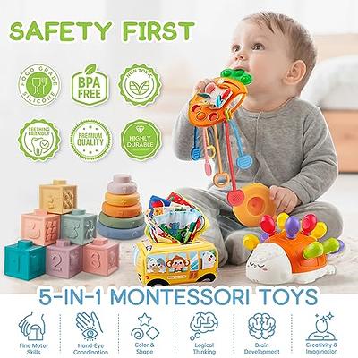 Montessori Toys for Babies 6-12 Months, 5 in 1 Baby Toys Easter