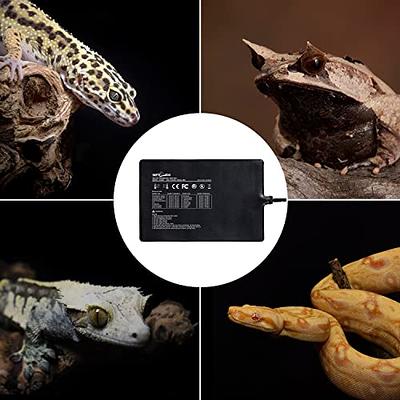 Upgrade Reptile Heat Mat with Thermostat - For Hermit Crab Snake Lizar –  REPTI ZOO