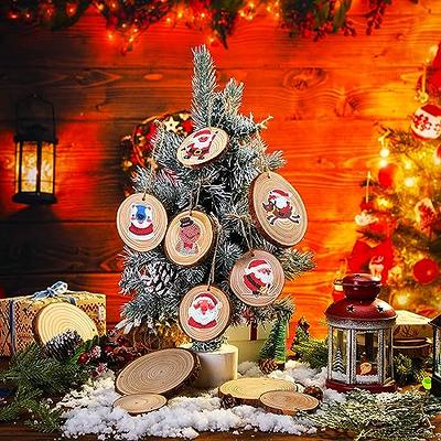 Wood Slices Kit with Hole Wooden Circles Tree Slices for Arts and Crafts