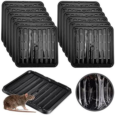  SZHLUX 4 Pack Mouse Traps, Mouse Traps Indoor for Home, Small Mice  Trap and Reusable Mouse Trap (Large), Black : Patio, Lawn & Garden