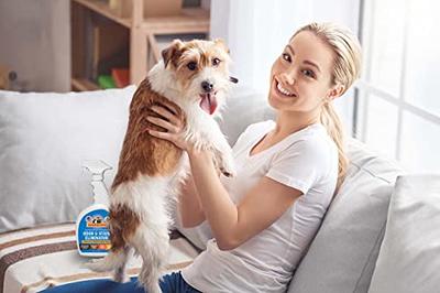 Begley's Natural Pet Stain and Odor Remover - Pet Odor Eliminator for Home  - Pet Urine Enzyme Cleaner - Pet Carpet Cleaner for Pets - Enzymatic