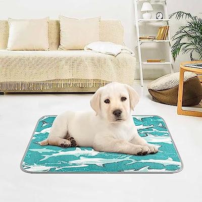 Washable, Waterproof Pet Mats: Keep Your Dog or Cat Comfy and Dry with  Avocado Graphic Floor Mats!