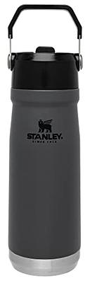 Stanley Quencher H2.0 FlowState Stainless Steel Vacuum  Insulated Tumbler with Lid and Straw for Water, Iced Tea or Coffee,  Smoothie and More, 40oz - Deep Iris Speckle: Tumblers & Water