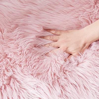 Fluffy Shaggy Area Rug,Ultra Soft Area Rug Fluffy Carpet,2x3 Feet