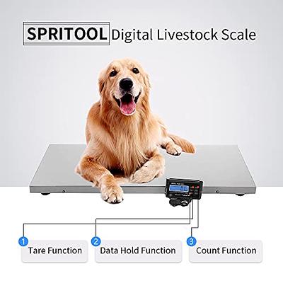 Digital Pet Scale for Small Medium Dogs,Dog Weight Scale, Animal Scale for  Veterinary and Home use,Large LCD Platform Scale,Veterinary Scale,Weigh