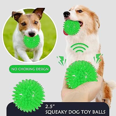 Interactive Dog Toys: Squeaky Balls, Tug & Fetch For Small