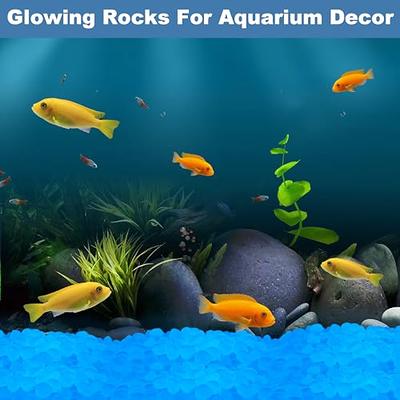 100pc Blue Fish Tank Rocks Glow in The Dark Rocks Outdoor Decorative Stones  Glowing Pebbles Glow Rocks for Aquarium Glow Stones for Driveway Garden  Pebbles,Blue - Yahoo Shopping