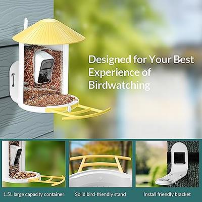 Smart Bird Feeder Lite Motion Detection Bird Home Feeder Security Came –  dzees-cam