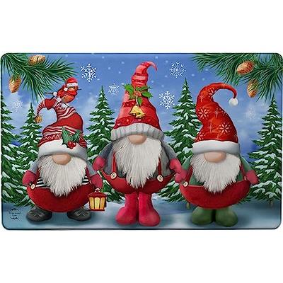 Winter Gnome Coir Doormat 30 x 18 Indoor Outdoor Briarwood Lane