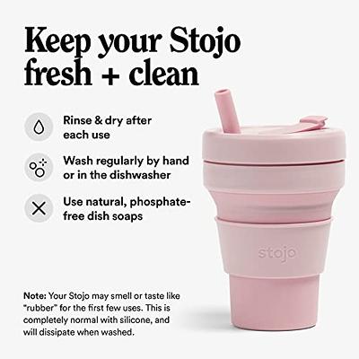 Insulated Stainless Steel Cold Cup with Lid and Straw 16oz / 470ml