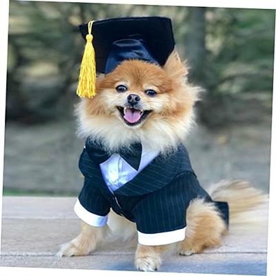 Dog Graduation Cap and Gown, Cat Graduation Cap and Gown, Pet Graduation Cap  and Gown, Same Price Any Size. Your Choice of Color. - Etsy Israel