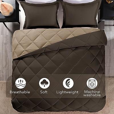 CozyLux Queen Size Comforter Set - 3 Pieces Grey Soft Luxury Cationic  Dyeing Bedding Comforter for All Season, Gray Breathable Lightweight Fluffy  Bed