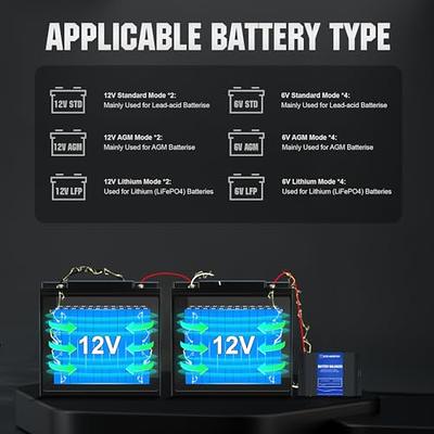 Battery balancer battery equalizer for 2 X 12V lead acid battery 24V battery