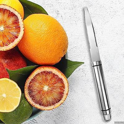 Treasure Gurus Stainless Steel Curved Grapefruit Knife Citrus Fruit Cutting  Tool Serrated Kitchen Utensil