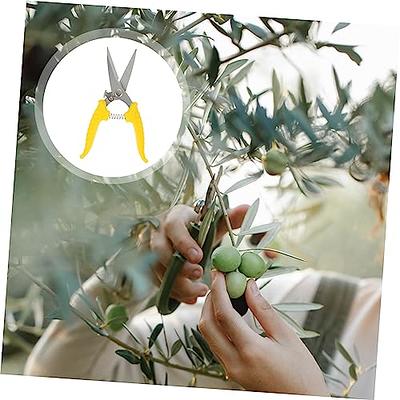 Pruning Shear Hand Pruners Gardening Tools Handheld Pruners Garden Clippers  for Bonsai Branches Orchard Garden Gardening