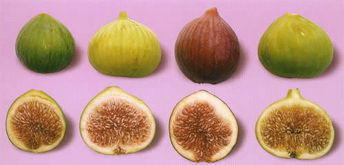 العلاج بالتين Figs