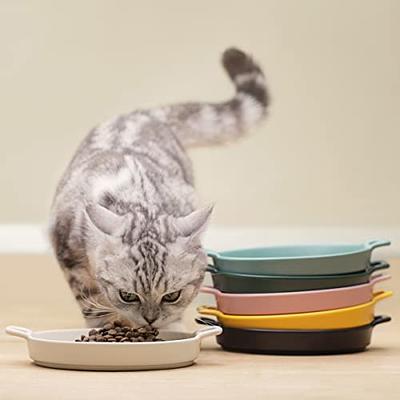 CEEFU Extra Wide Elevated Cat Bowls - Ceramic Cat Food Bowl 6.2 Raised Cat  Food Bowls Elevated Shallow Cat Food Dish, Whisker Fatigue, Lead & Cadmium