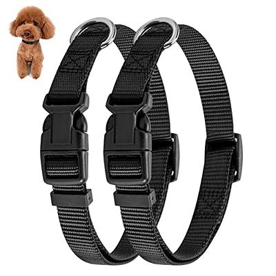 Basic Nylon Dog Collar, Adjustable for Small, Medium, Large pet